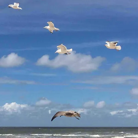 Strandslag Casa Brownie Apartamento Julianadorp