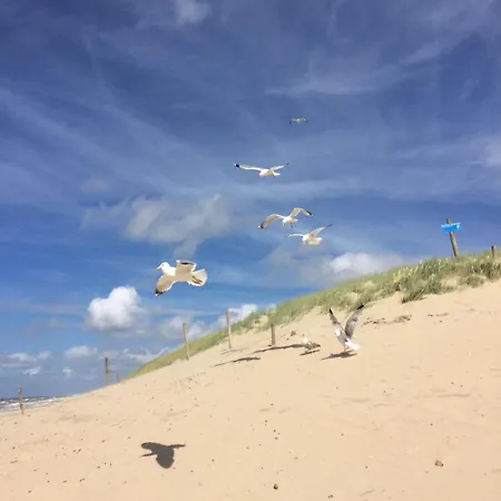 Strandslag Casa Brownie * Julianadorp