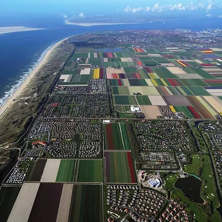 Appartement Strandslag Casa Brownie Julianadorp