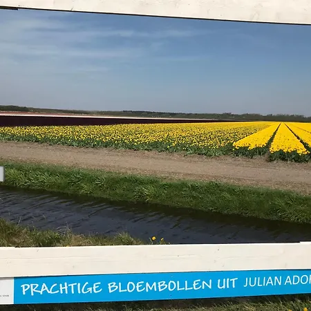 Strandslag Casa Brownie Appartement Julianadorp