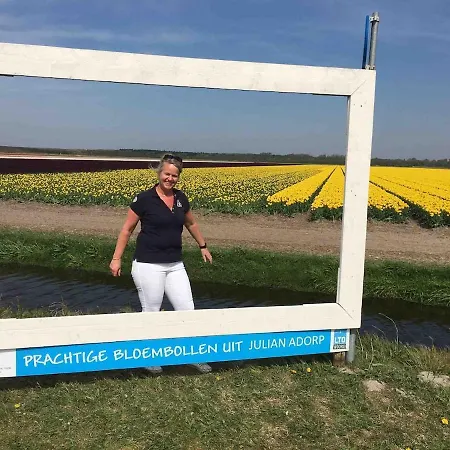 Appartement Strandslag Casa Brownie *