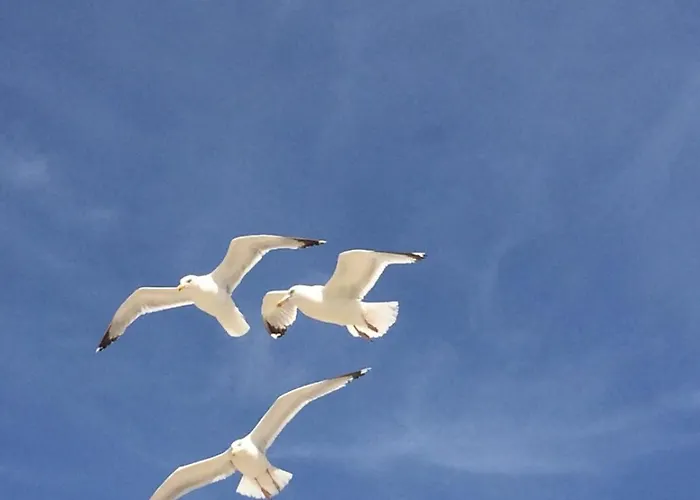 דירה Strandslag Casa Brownie *