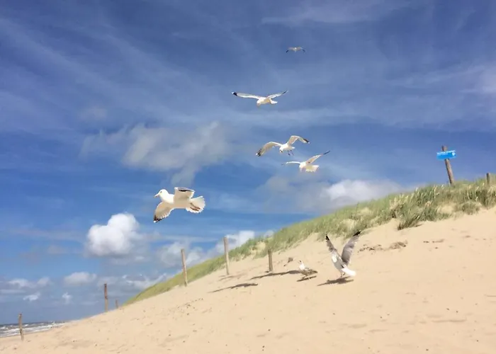 Strandslag Casa Brownie * יוליאנאדורפ