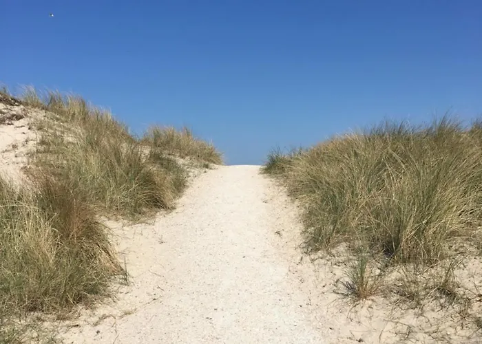 Strandslag Casa Brownie דירה