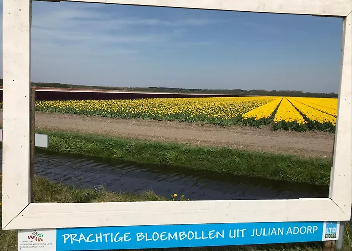 Strandslag Casa Brownie דירה יוליאנאדורפ